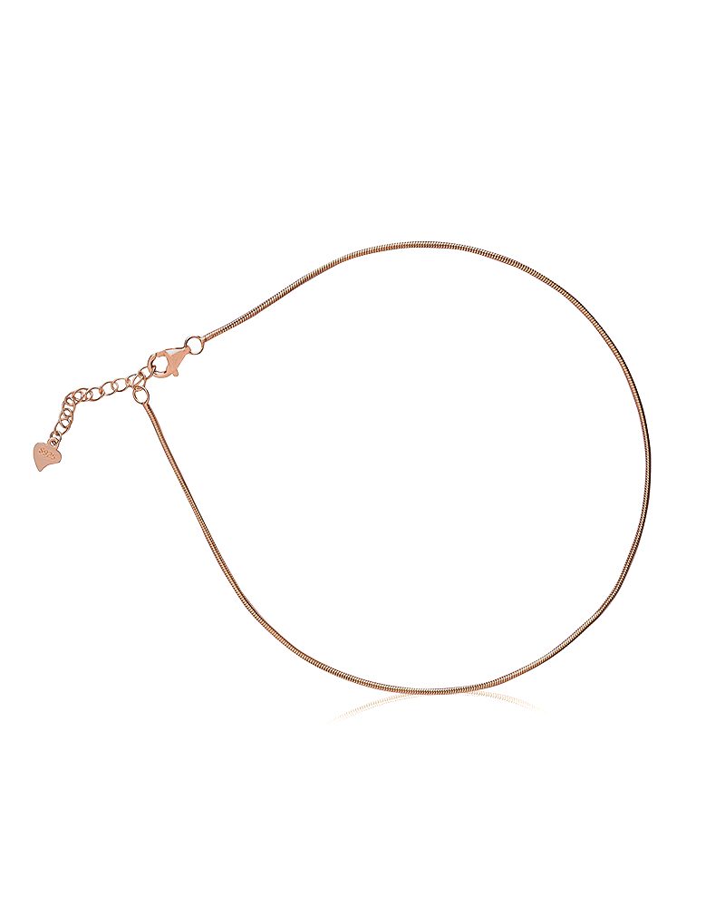 Golden Horizon Anklet