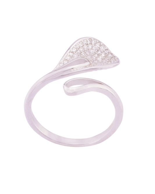 Universal Silver Elegance