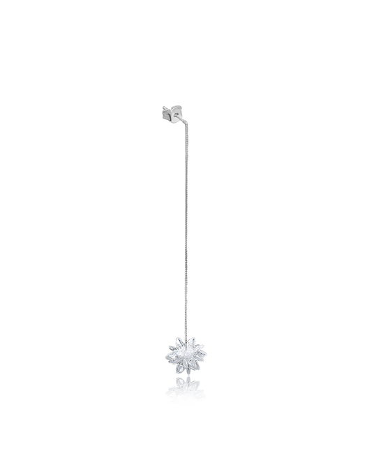 Dangle Silver Earrings