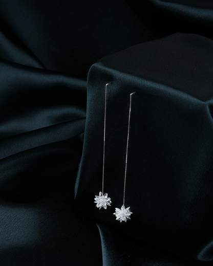 Dangle Silver Earrings